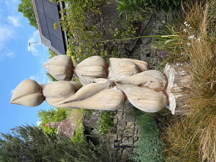 Abstract wooden garden sculpture of stylised flower buds against stone wall.