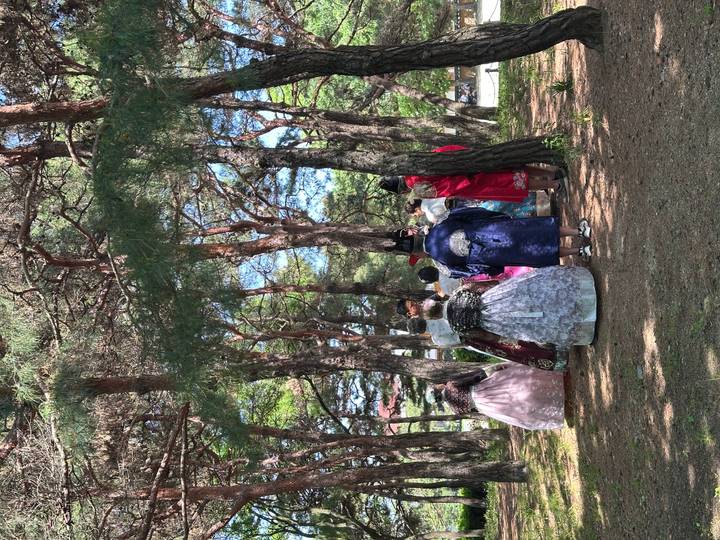 A group dressed in colorful hanbok walks together under tall pine trees in a park.