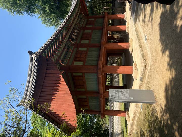 A small elevated pavilion with green and red wooden panels stands in a shaded forest clearing.