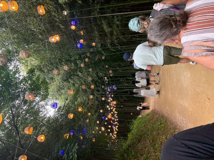 Visitors stroll along a dirt path beneath hanging lanterns in a dense bamboo forest.