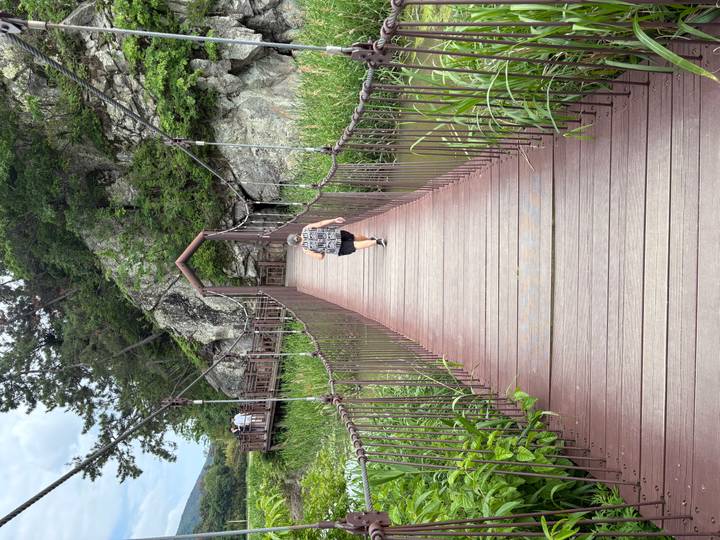 A lone traveler crosses a narrow wooden suspension bridge toward rocky cliffs and lush reeds.