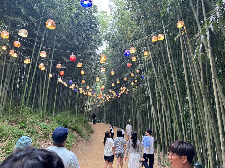 Narrow bamboo forest path decorated with colorful hanging lanterns with tourists walking beneath.