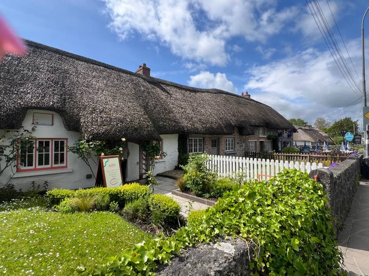 Charming whitewashed thatched cottages with picket fences and gardens under a blue sky