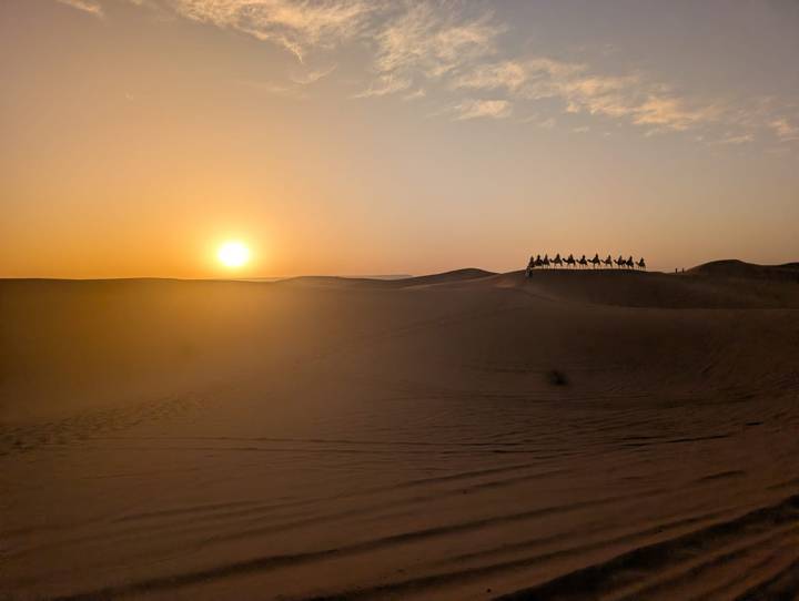Line of camels with riders silhouetted on distant sand ridge as the sun sets over the Sahara Desert.