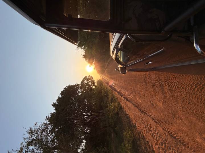 View from a safari vehicle driving down a dusty track toward a rising sun.
