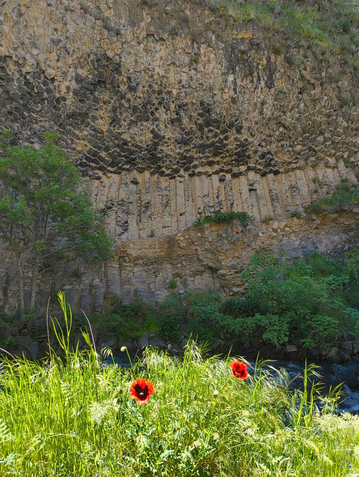 Vertical columnar basalt formations rising above green shrubs in a narrow gorge.