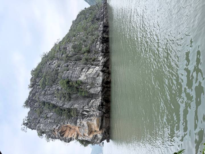 Tall karst island covered in greenery rising from calm green water.