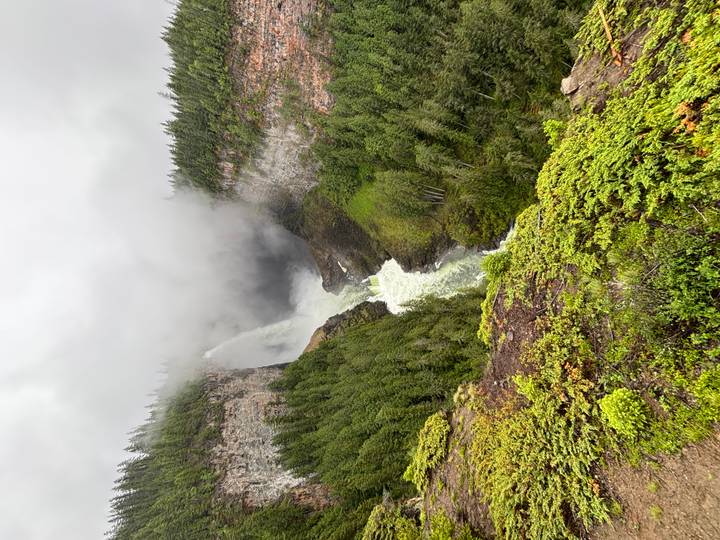 Powerful waterfall plunging into a misty canyon surrounded by dense evergreen forest.