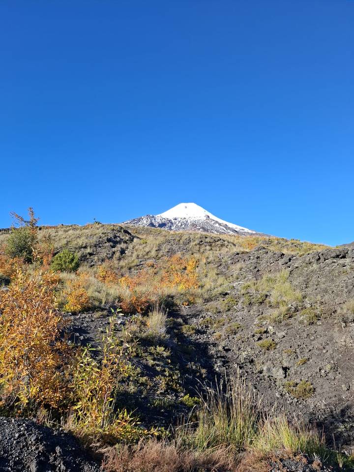 Snow-capped Villarrica Volcano rises against a deep blue sky above scrubland dotted with autumn foliage.