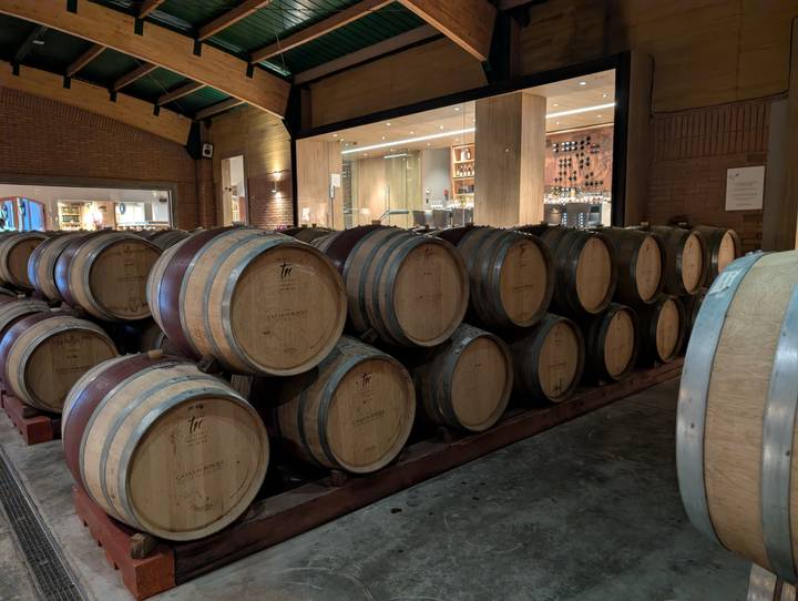 Rows of oak wine barrels stacked inside a modern winery cellar with a tasting room visible in the background.