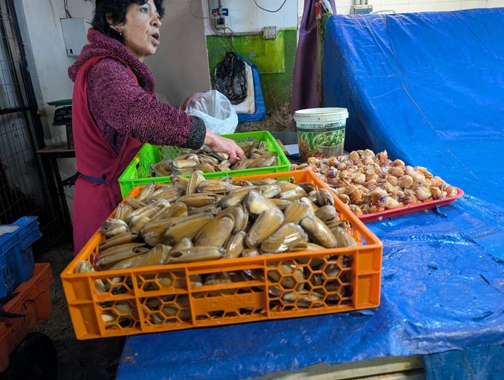 Market vendor sorts trays of fresh clams and shellfish at a seafood stall covered with blue tarps.