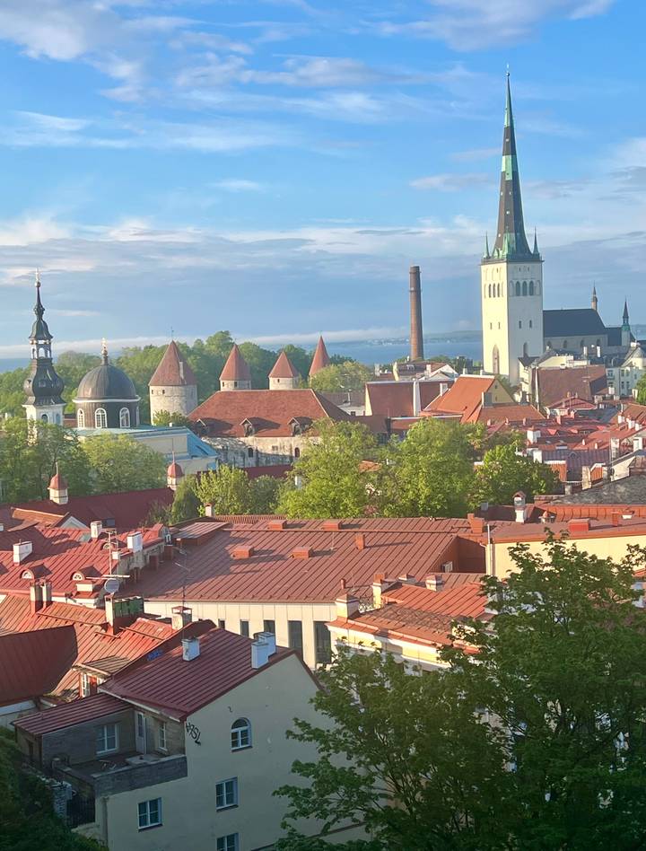 Panoramic view of Tallinn Old Town rooftops, spires and defensive towers with the Baltic Sea beyond.