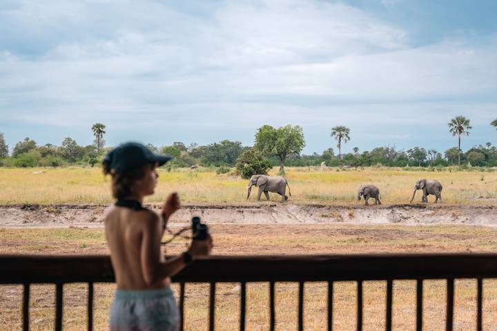 Traveller with binoculars on lodge deck watching elephants grazing across the dry riverbed.