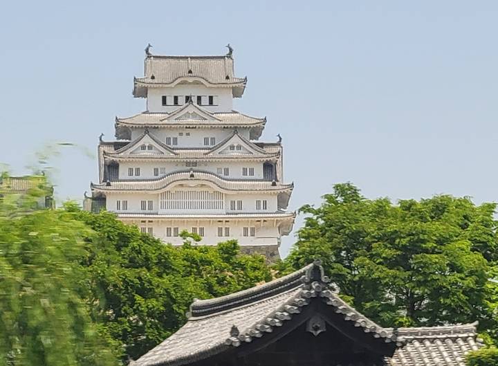 Distant view of white multi-storey Himeji Castle rising above green trees and blue sky.