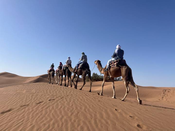 Caravan of camels carrying riders across golden sand dune ridge under clear sky.