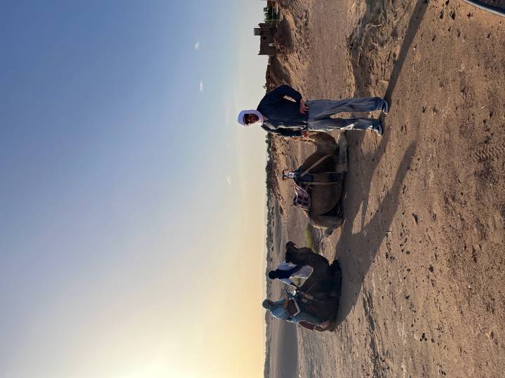 Man in traditional headscarf stands beside seated camels on a sandy desert plain at sunset.