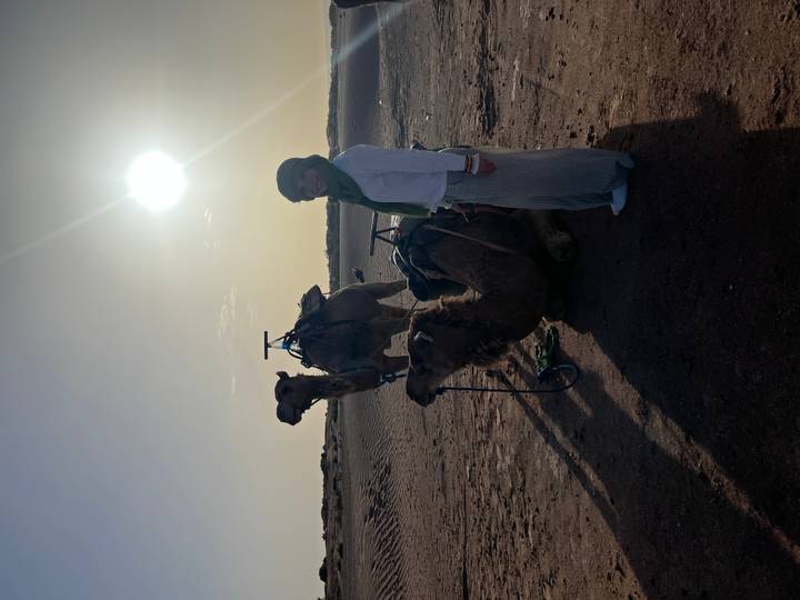 Back-lit woman in headscarf stands beside two camels under the bright desert sun.