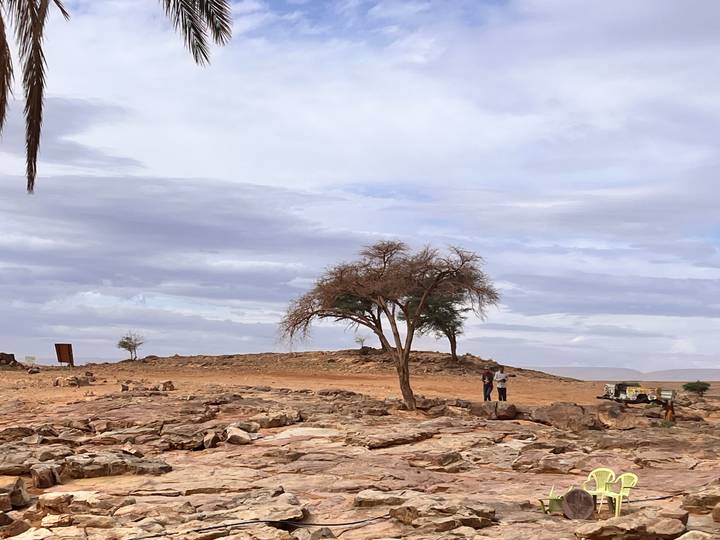 Arid rocky desert plain with a lone acacia tree and two people standing under cloudy skies