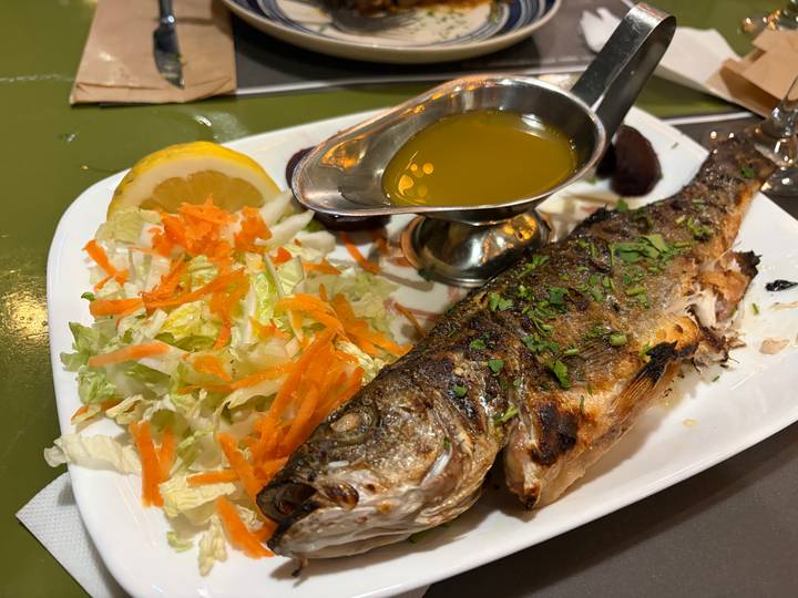 Plate of grilled fish with fresh salad, lemon wedge and sauce served on a white platter