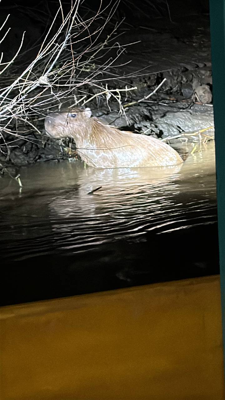 Nighttime photo of rippling muddy river water with indistinct object and flash glare.