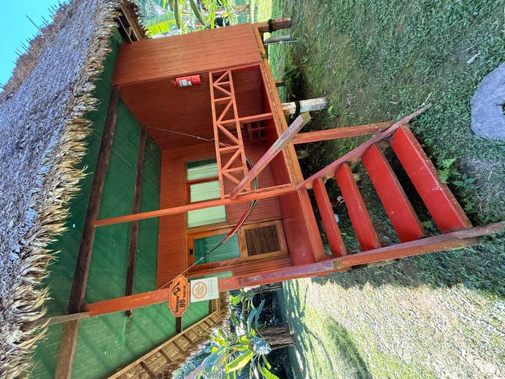 Simple wooden jungle lodge with thatched roof and red steps leading up to a small porch.