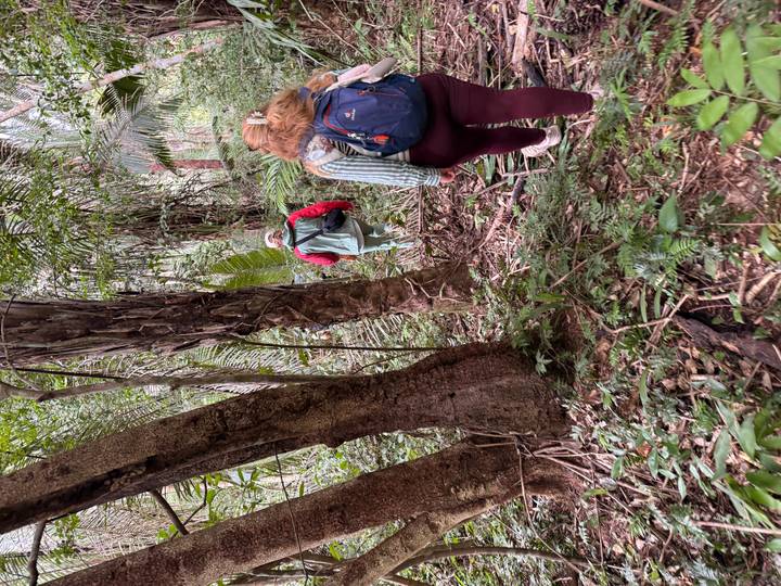 Travelers with backpacks hike along a narrow jungle trail surrounded by tall palms and dense undergrowth.
