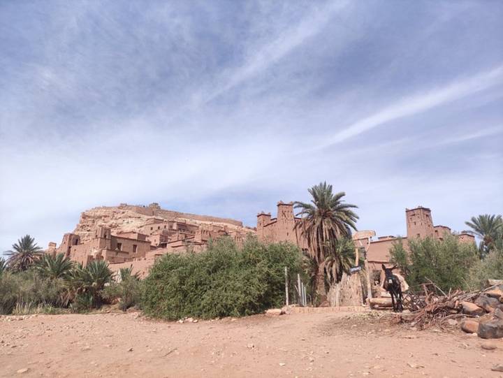 Mud-brick kasbah structures rise above palms beneath a lightly clouded sky in southern Morocco.