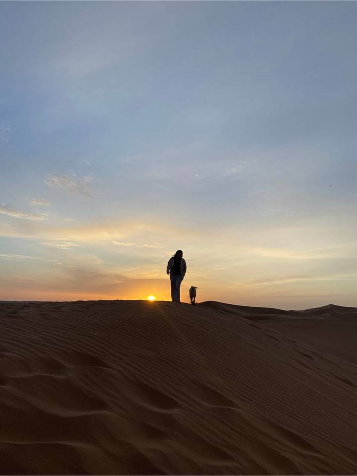 Silhouetted traveller and camel stand atop a dune against a colourful sunrise sky.