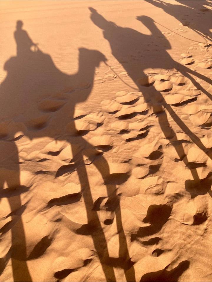 Long shadows of camel riders stretch across textured desert sand in warm light.