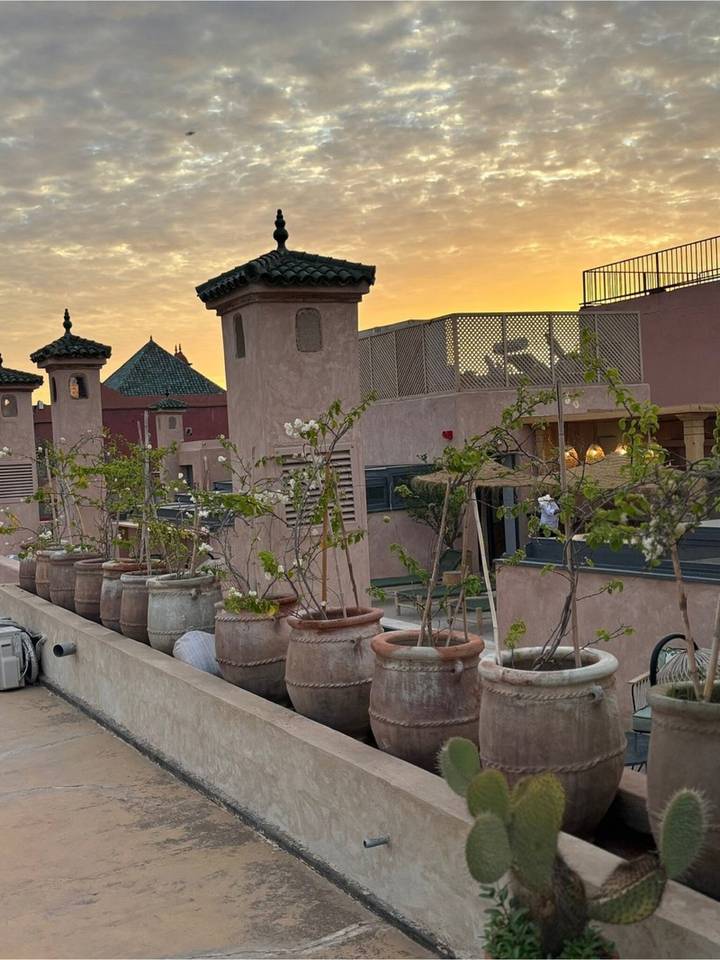 Sunset hues illuminate a riad rooftop garden with rows of terracotta pots and lanterns.