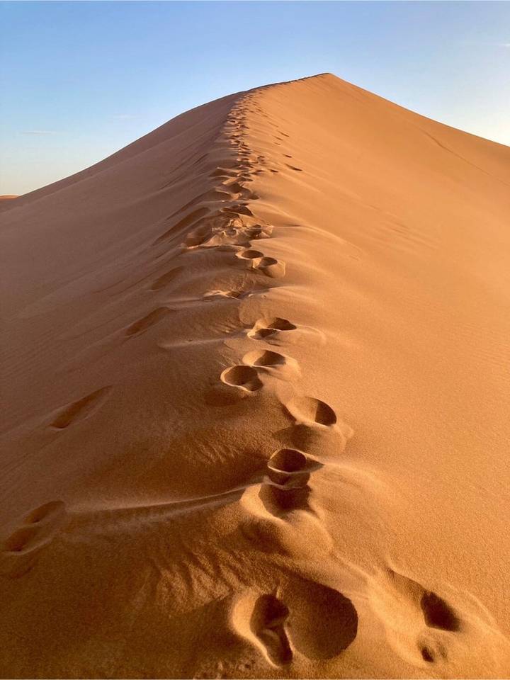 Close-up of a single line of fresh footprints along a cresting sand dune.