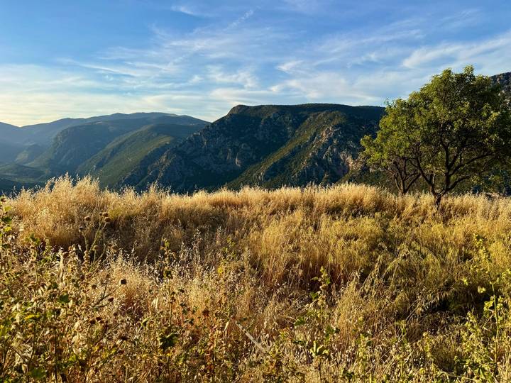 Golden grass meadow overlooking layered mountains beneath a soft evening sky.