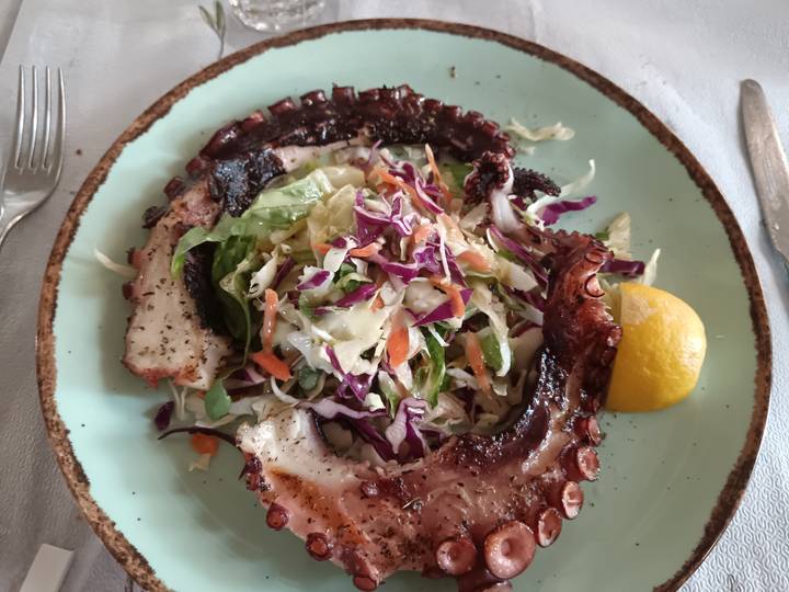 Plated octopus with fresh salad and lemon wedge ready to be enjoyed.