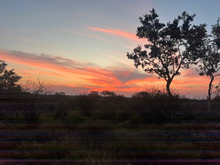 Vibrant sunset sky with orange and pink streaks above a silhouetted savanna landscape and trees