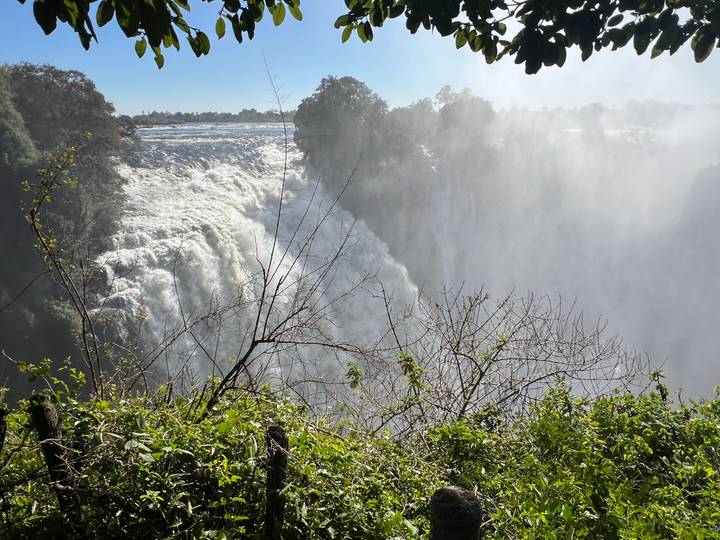 Powerful curtain of water plunging over Victoria Falls framed by mist and green foliage