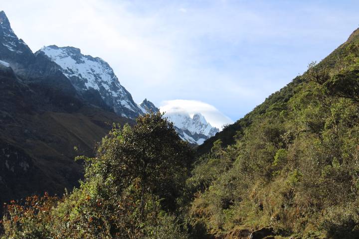 Forest-lined mountain valley with a cloud-topped snowy peak in the distance.