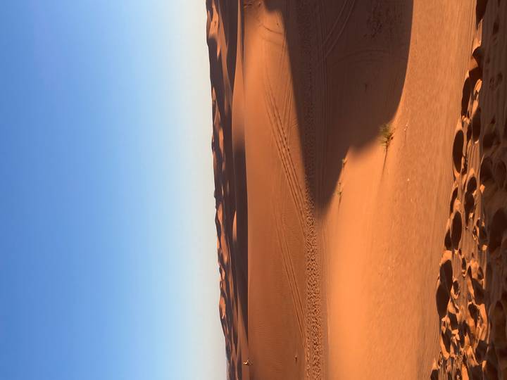 Expansive orange dunes under a clear blue sky with subtle shadows creating patterns on the sand.
