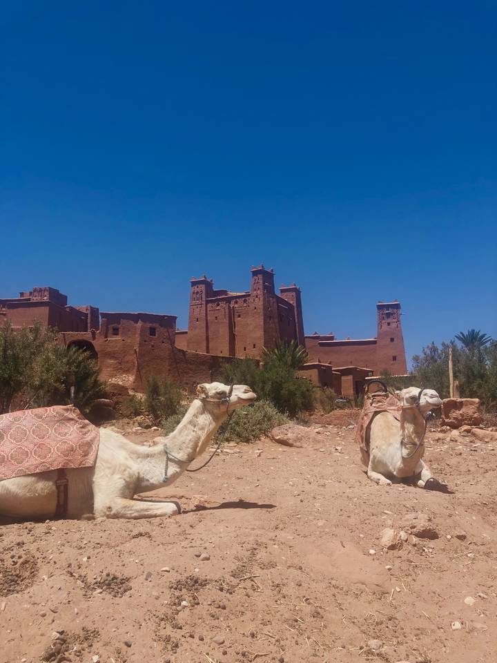 Camel saddles rest before the adobe towers of Ait Benhaddou’s kasbah under a vivid blue sky.