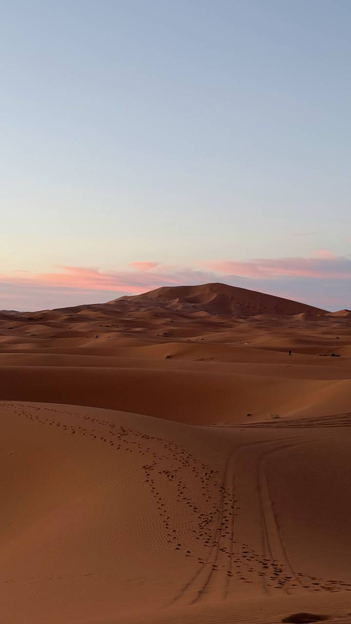 Soft pastel sky over rolling sand dunes creating gentle curves and subtle shadows at twilight.