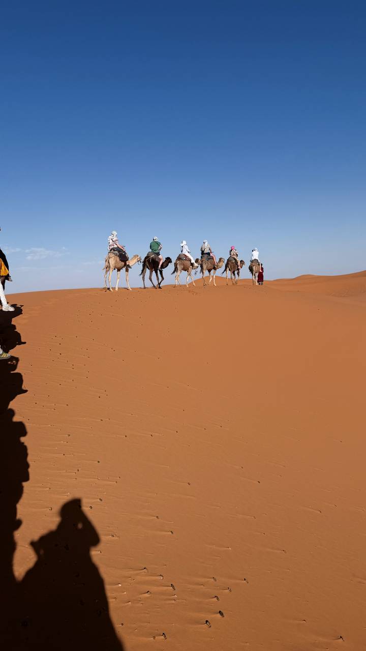 Line of tourists riding camels along the crest of an ochre sand dune against a pale blue sky.