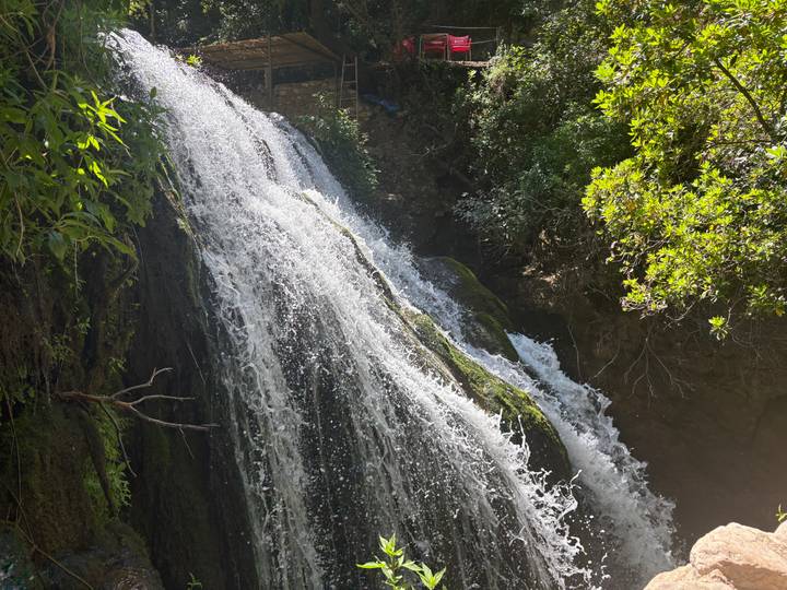 Clear stream cascades down a mossy cliff in a lush forest setting.