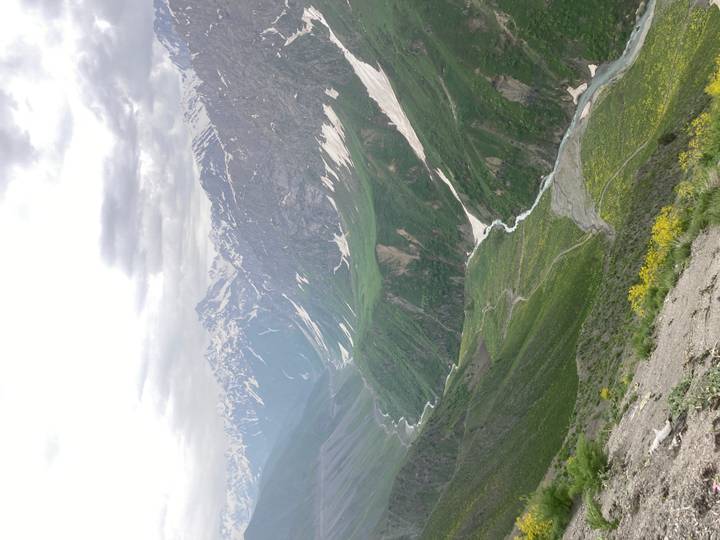 Dramatic snow-capped peaks and deep green valley with a winding river and alpine flowers.