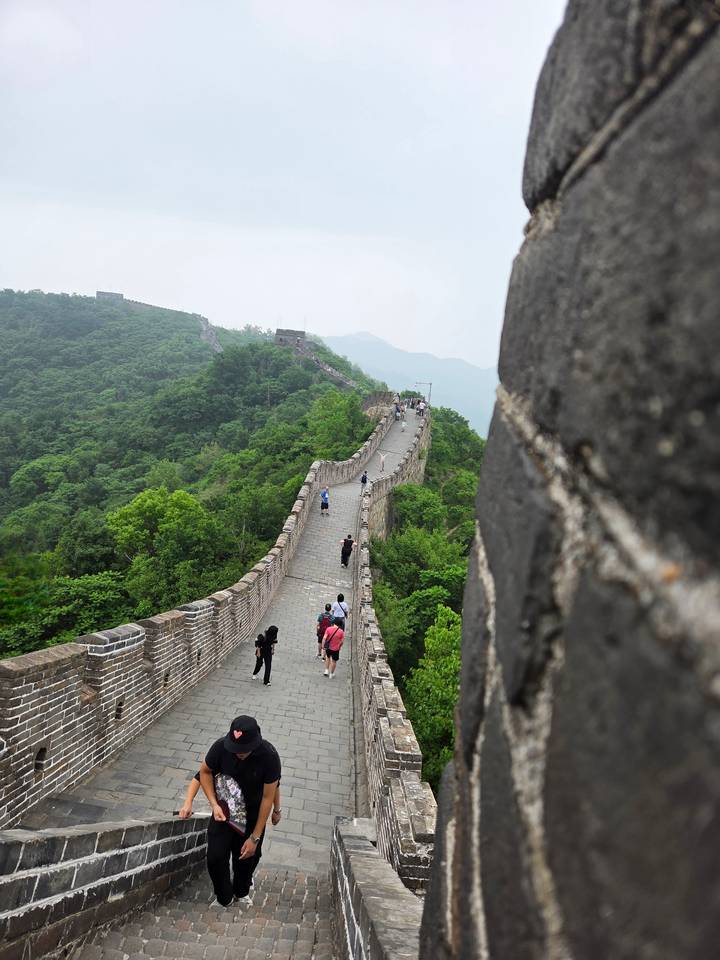Elevated perspective along a winding stone section of the Great Wall snaking over lush green hills in misty conditions.