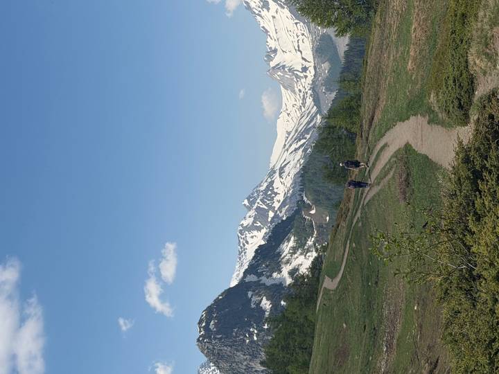 Two hikers walking along an alpine trail with snow-capped peaks in the distance.