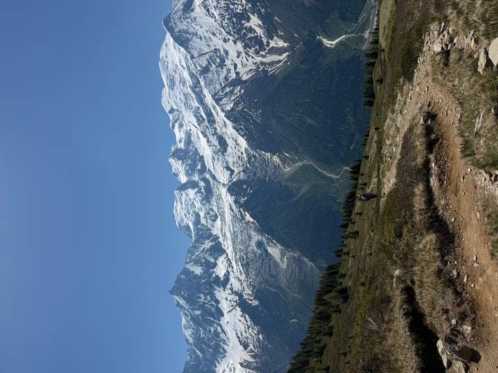 Hikers follow a dirt path across alpine meadow toward dramatic snowy peaks.