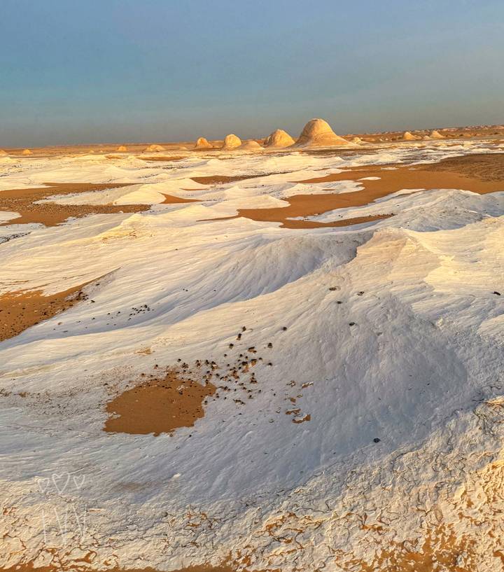 Sweeping view of white chalk formations contrasting with orange desert sand at golden hour