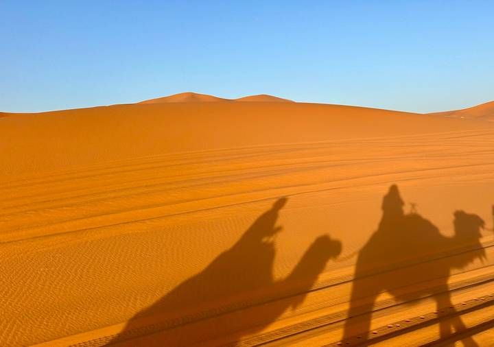Golden desert dunes at sunset with long camel shadows stretching across rippled sand.