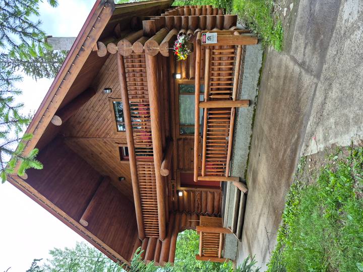 A rustic log cabin with flower baskets set among tall pine trees.