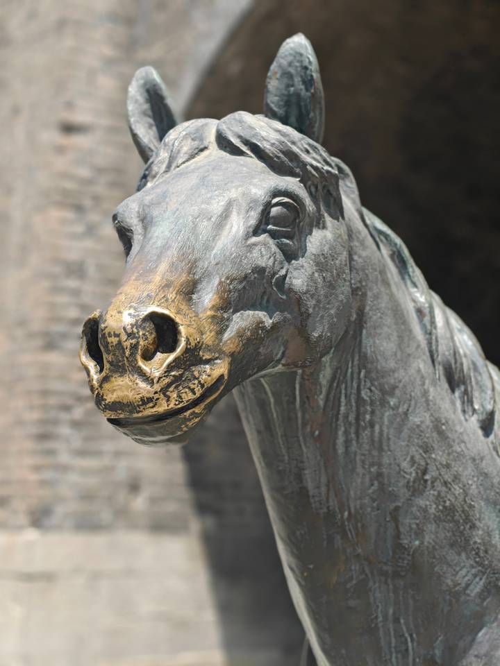 Close-up bronze horse statue with detailed texture