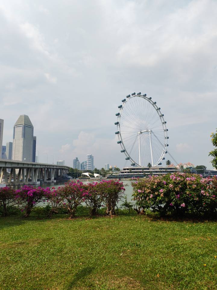 Singapore Flyer giant observation wheel beside waterfront with city skyline